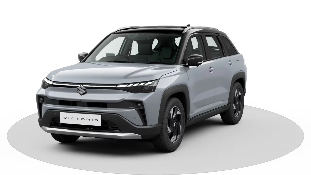 Splendid Silver With Bluish Black Roof